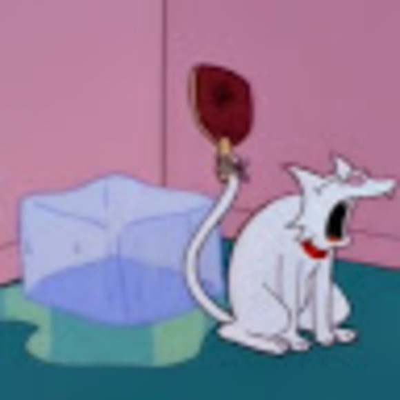 Meet your Posher, Sandra - Picture 1 of 1